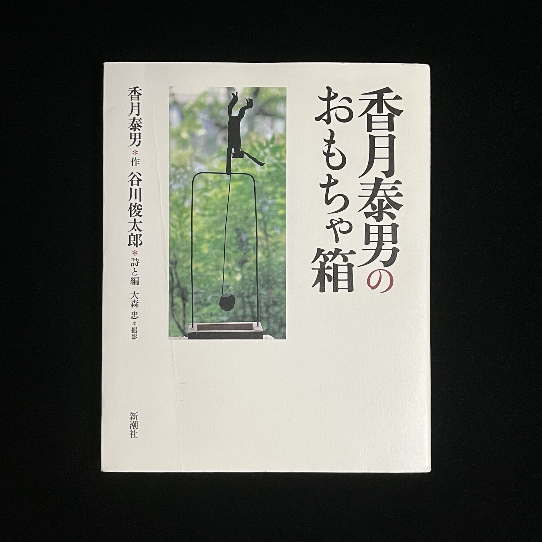 『香月泰男のおもちゃ箱』の本の表紙の写真。緑の木々を背景に、鉄棒で片手大車輪をしている香月さんの作品の写真が載っています。