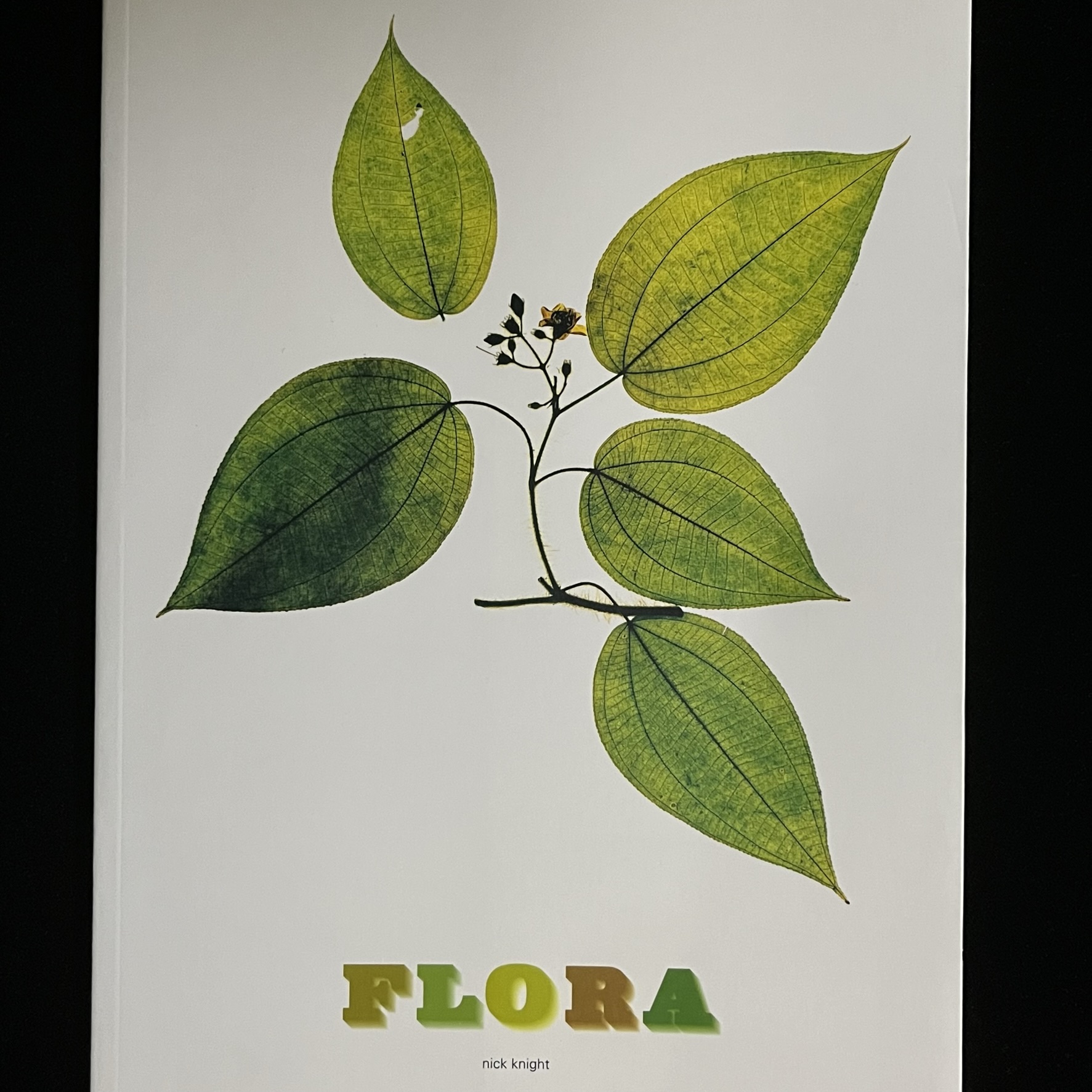 『FLORA』の写真集の表紙の写真。葉脈まで透けて見える緑の葉っぱと茎とお花の押し花の写真です。