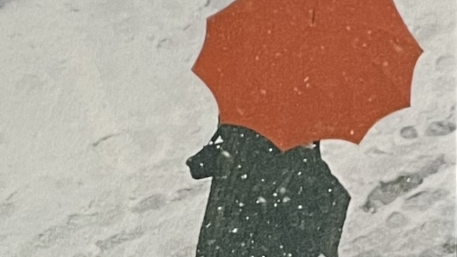『ソール・ライターのすべて』の表紙の写真です。赤い傘をさして雪の中を歩いている人を上から移した写真です。
