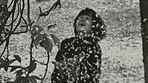 『les BOUBAT de BOUBAT』の写真集のページの写真です。子どもが花びらの吹雪に包まれている写真です。
