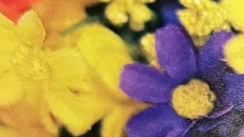 『earthly flowers heavenly colors』の写真集のページの写真です。色とりどりのお花の写真が写っています。