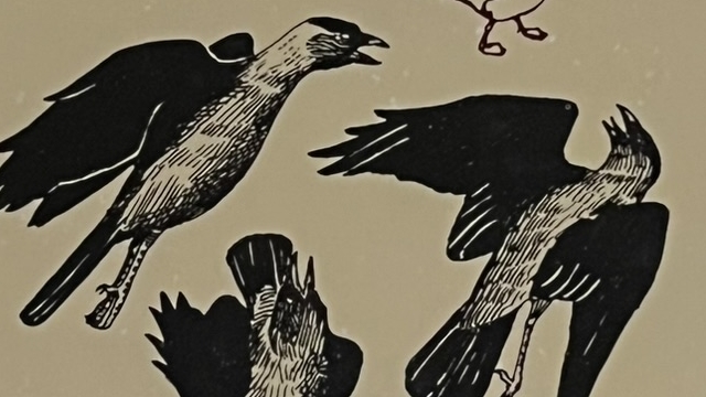 『ソロモンの指環』の本の表紙のイラストです。鳥の絵が描かれています。
