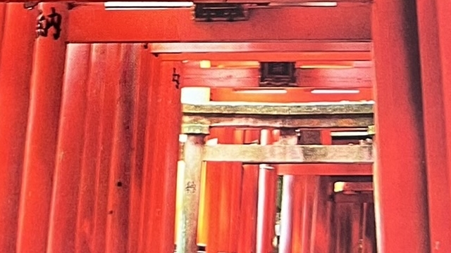 『EXPLORING KYOTO』の本の表紙の写真です。伏見稲荷の鳥居が写っています。