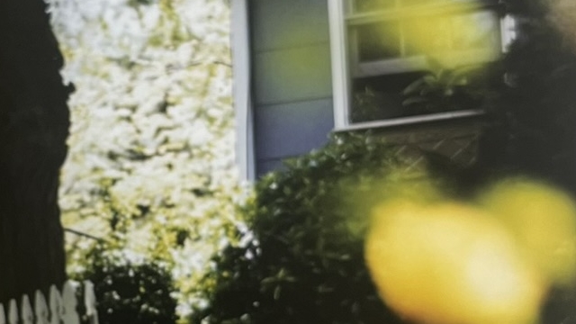 『Certain Days』の写真集の写真です。黄色いお花の向こうに洋館が見える写真です。