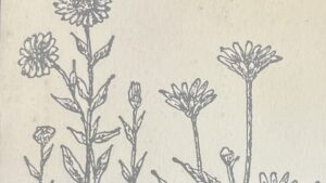 『わたしの部屋のポプリ』の本の表紙のイラストです。お花の絵が描かれています。