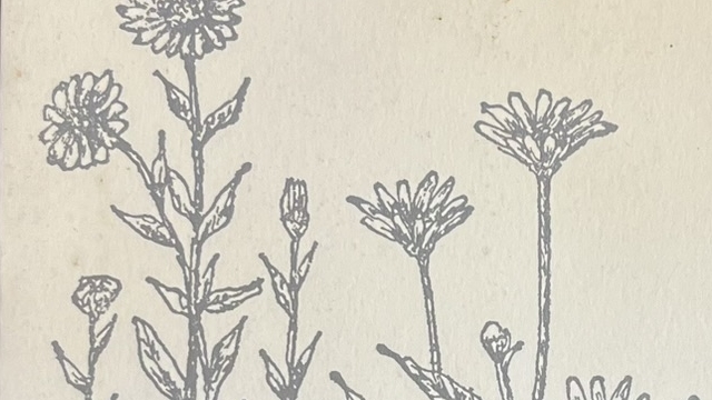 『わたしの部屋のポプリ』の本の表紙のイラストです。お花の絵が描かれています。