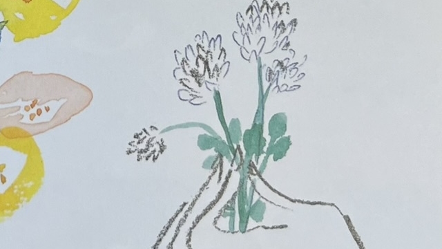 『ことばのかたち』の絵本のページのイラストです・シロツメクサのお花を手で持っているイラストが描かれています。