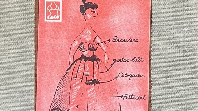 『下着ぶんか論』の本の表紙です。女性の下着姿のイラストで説明書きが添えられています。