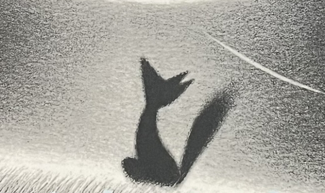 『雪わたり』の絵本の表紙の絵です。雪の上で狐が空を見上げている絵が描かれています。
